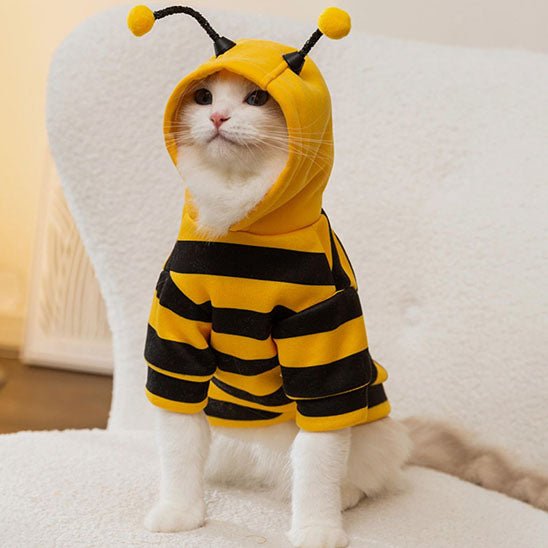 déguisement-pour-chat-buzzymiaou-deluxe