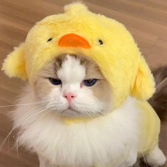 déguisement-pour-chat-poussin-1