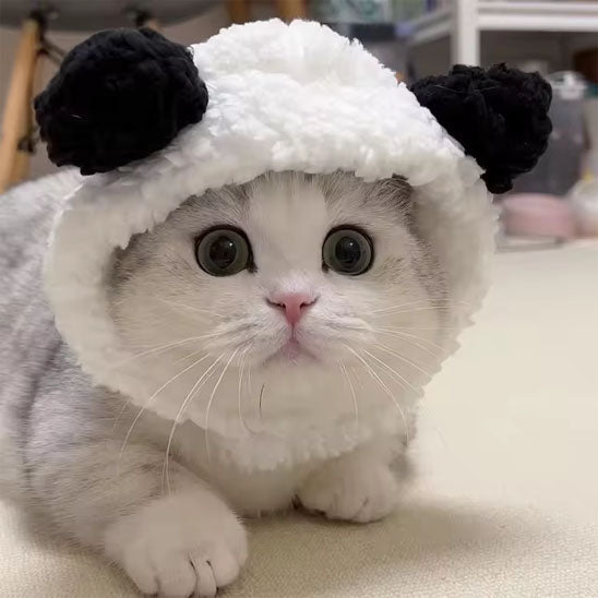 déguisement-pour-chat-oreilles-de-panda-1