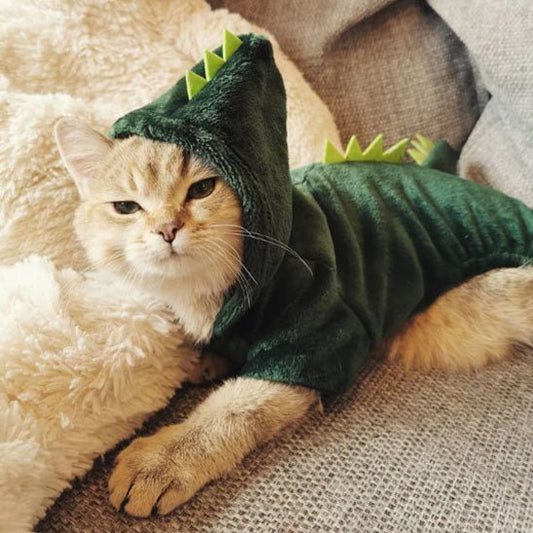 déguisement-pour-chat-chatzilla