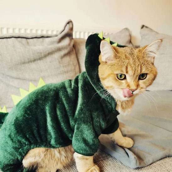 déguisement-pour-chat-dinofelin