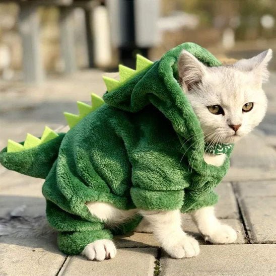 déguisement-pour-chat-dinomignon
