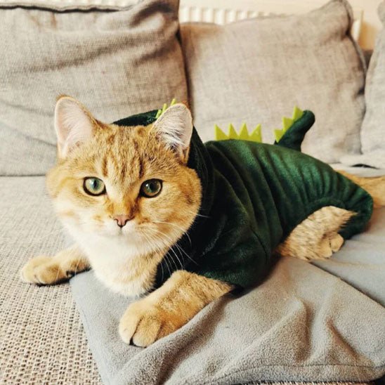 Déguisement pour chat | DinoMinou™ - Patte à Chat