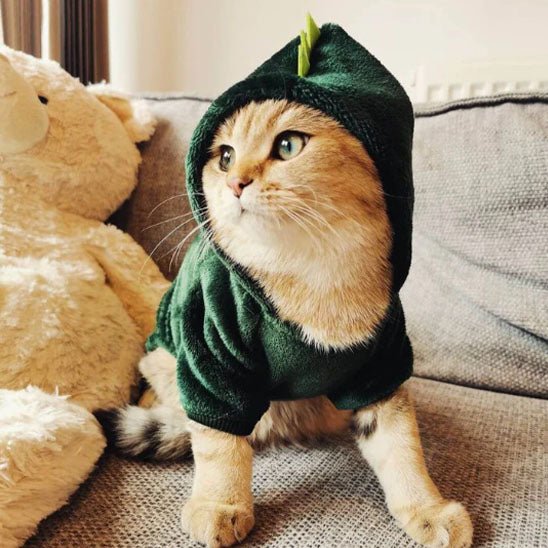 déguisement-pour-chat-jurassicat