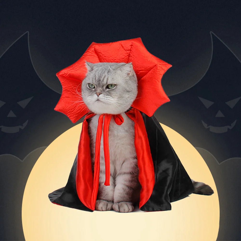 déguisement-pour-chat-macabre-draculynx
