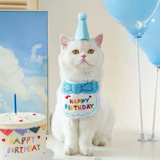Déguisement pour chat | FêliDay™ - Patte à Chat