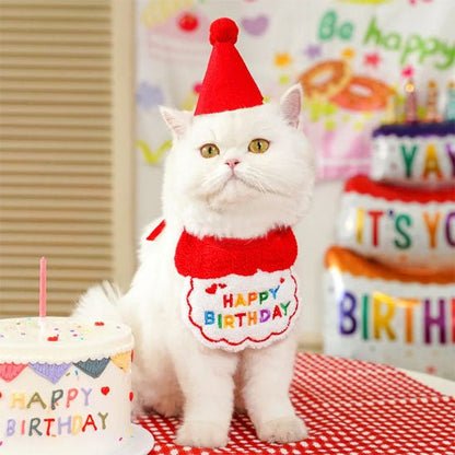 Déguisement pour chat | FêliDay™ - Patte à Chat