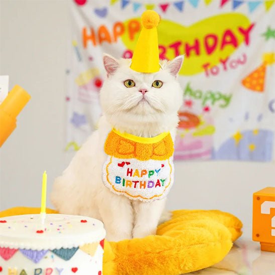 Déguisement pour chat | FêliDay™ - Patte à Chat