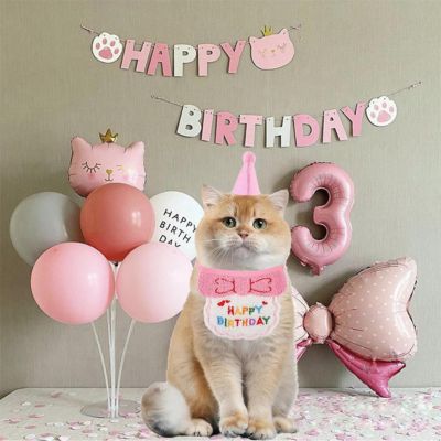 Déguisement pour chat | FêliDay™ - Patte à Chat