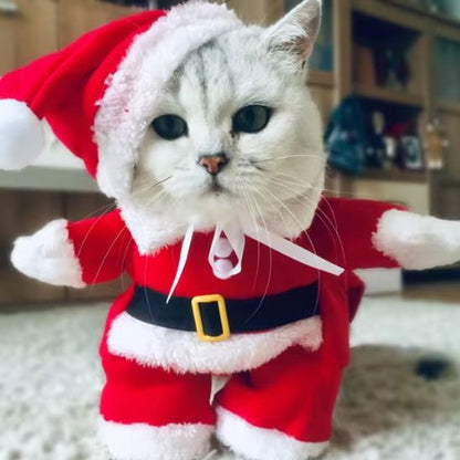 déguisement-pour-chat-père-noël-design-miaouel