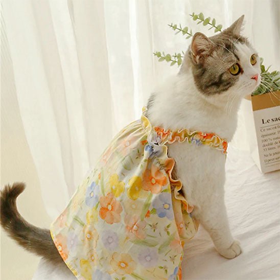 Déguisement pour chat | MinouBelle™ - Patte à Chat