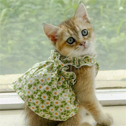 Déguisement pour chat | MinouBelle™ - Patte à Chat