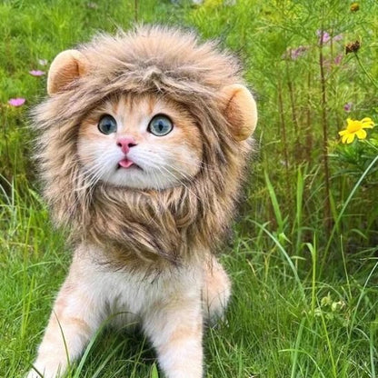 déguisement-pour-chat-ruglion-insolite