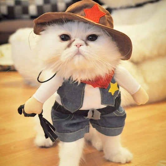 déguisement-pour-chat-sherifouf-design