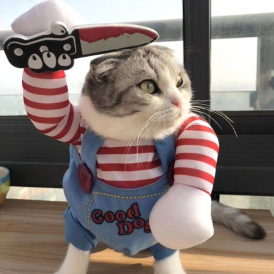 deguisement-pour-chat-epouvantable-slaschat