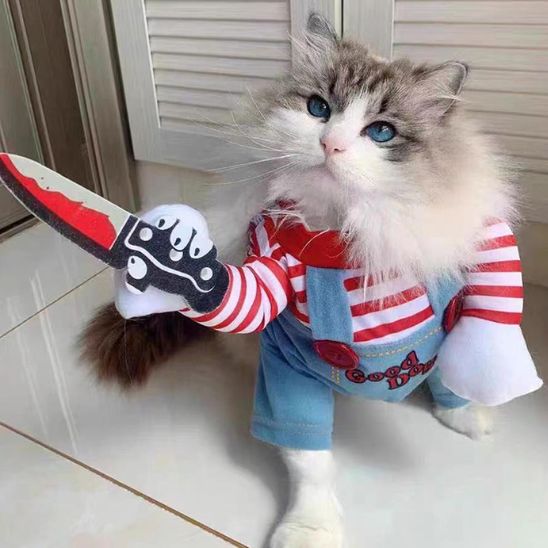 déguisement-pour-chat-monstrueux-slaschat