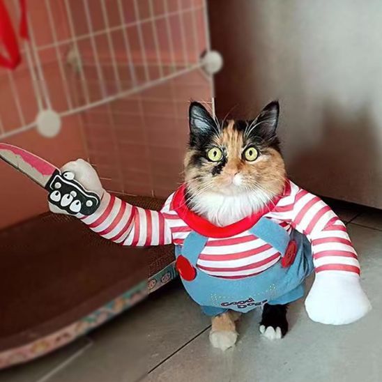 déguisement-pour-chat-horrible-slaschet