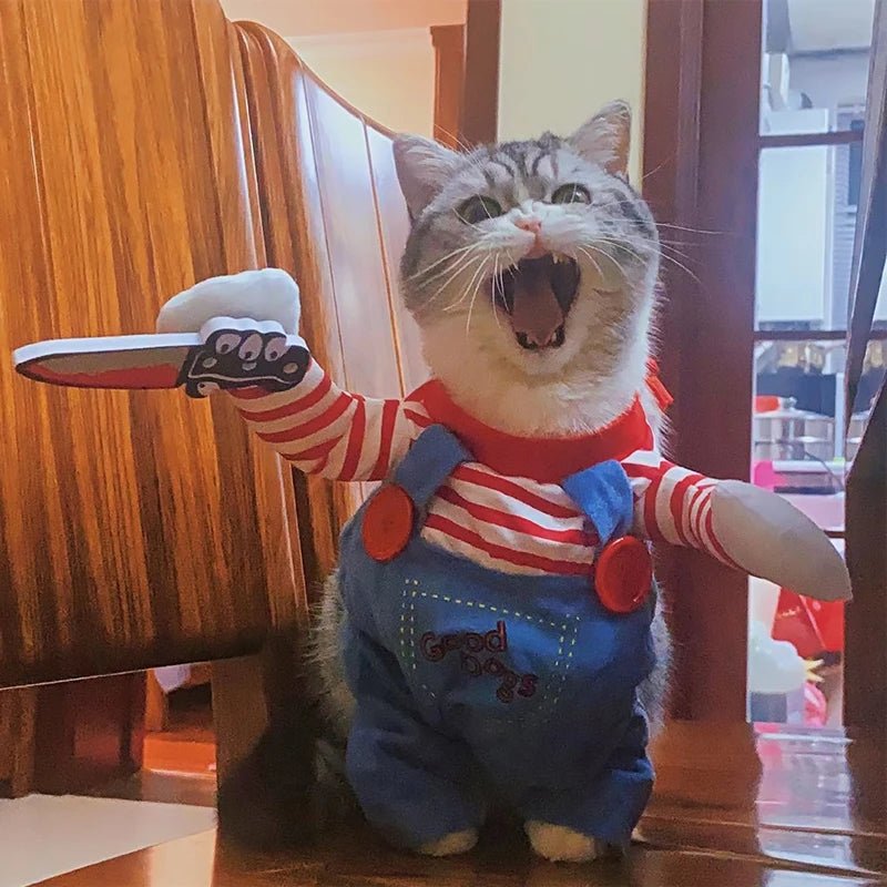 déguisement-pour-chat-impressionnant-slaschat
