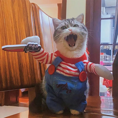 déguisement-pour-chat-impressionnant-slaschat
