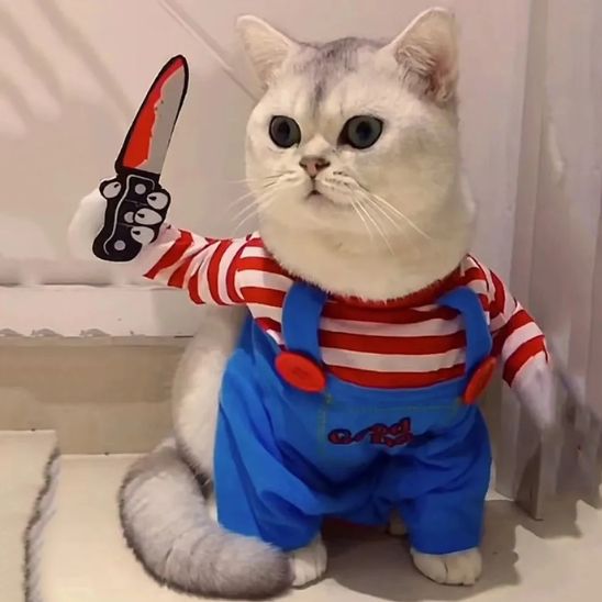 déguisement-pour-chat-terrifiant-slaschat