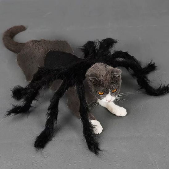 déguisement-pour-chat-halloween-effrayant-spineko