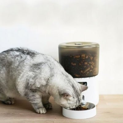 distributeur-automatique-croquettes-chat-districroq-pratique