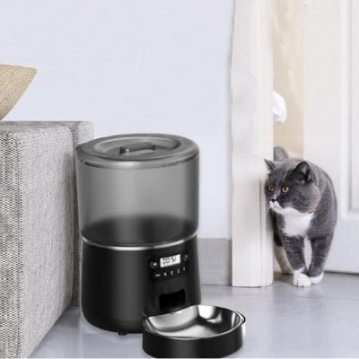 distributeur-automatique-croquettes-chat-districroq-modern