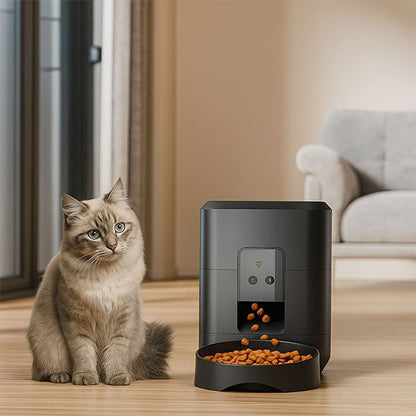 distributeur-automatique-de-croquettes-pour-chat-design-modern