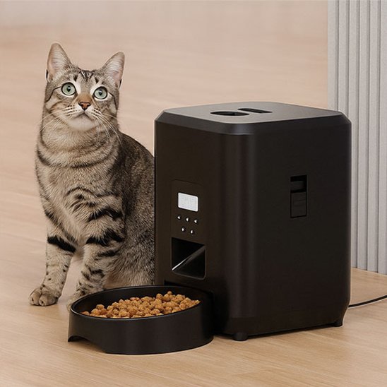distributeur-automatique-de-croquettes-pour-chat-minuteur-intégré