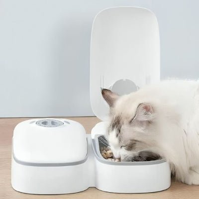distributeur-croquette-chat-automatique-utile-chatomatique