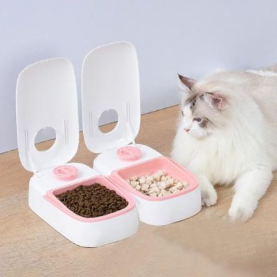 distributeur-croquette-chat-automatique-pratique-chatomatique