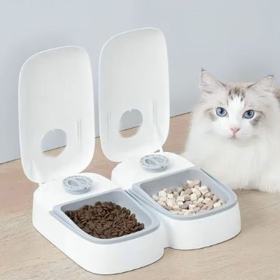distributeur-croquette-chat-automatique-chic-chatomatique