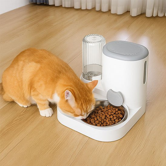 distributeur-de-croquettes-et-d-eau-pour-chat-dispositif-combiné