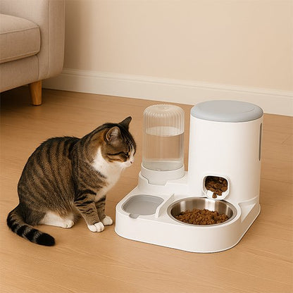 distributeur-de-croquettes-et-d-eau-pour-chat-station-repas