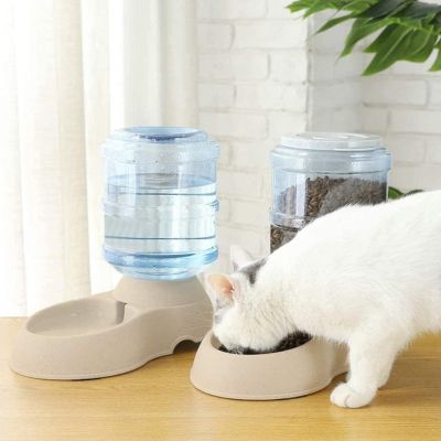 distributeur-de-croquettes-pour-chat-extra-large
