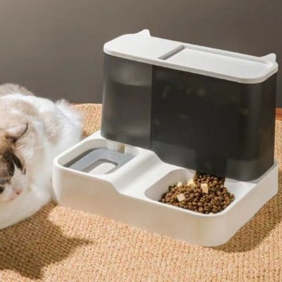 distributeur-de-croquettes-pour-chat-design-discroquettes