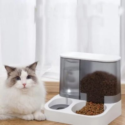 distributeur-de-croquettes-pour-chat-moderne-discroquettes