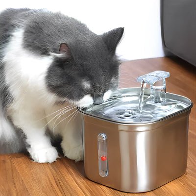 fontaine-a-eau-chat-silencieuse-couledouce