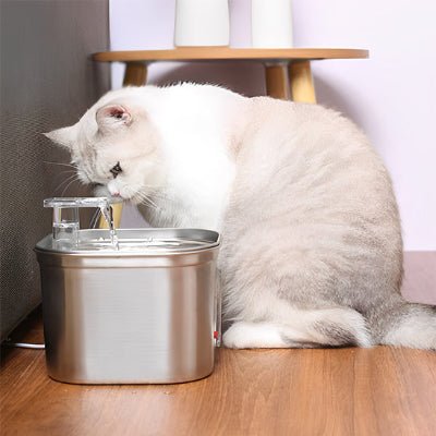 fontaine-a-eau-chat-performante-couledouce