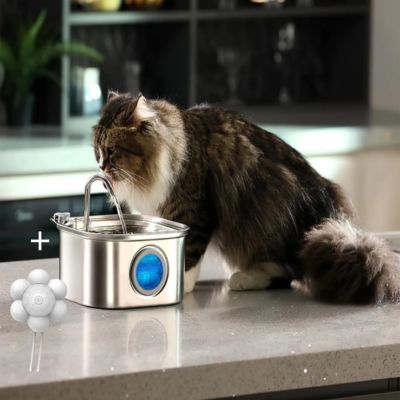 fontaine-a-eau-pour-chat-inox-inoxydable-economique-hydrocat-avec-capteur-de-mouvements