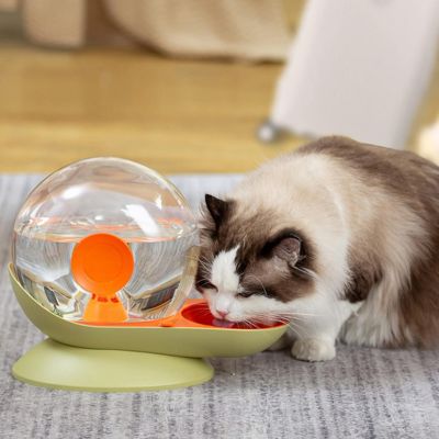 fontaine-a-eau-chat-pratique-escargot