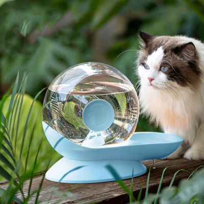 fontaine-a-eau-chat-escargot-bleu