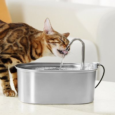 Fontaine a eau Chat - eau pure