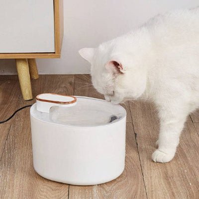 fontaine-a-eau-chat-pratique-felina
