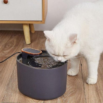 fontaine-a-eau-chat-utile-felina