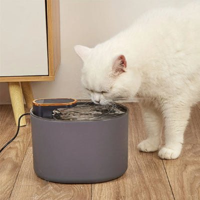 fontaine-a-eau-chat-optimale-felina
