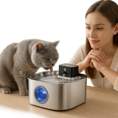fontaine-a-eau-chat-en-inox-silencieuse-avec-detecteur-de-mouvement