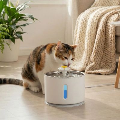 fontaine-a-eau-chat-fleur-inox