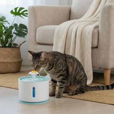 fontaine-a-eau-chat-plastique-bleu