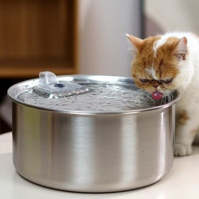 fontaine-a-eau-chat-large-glouglou